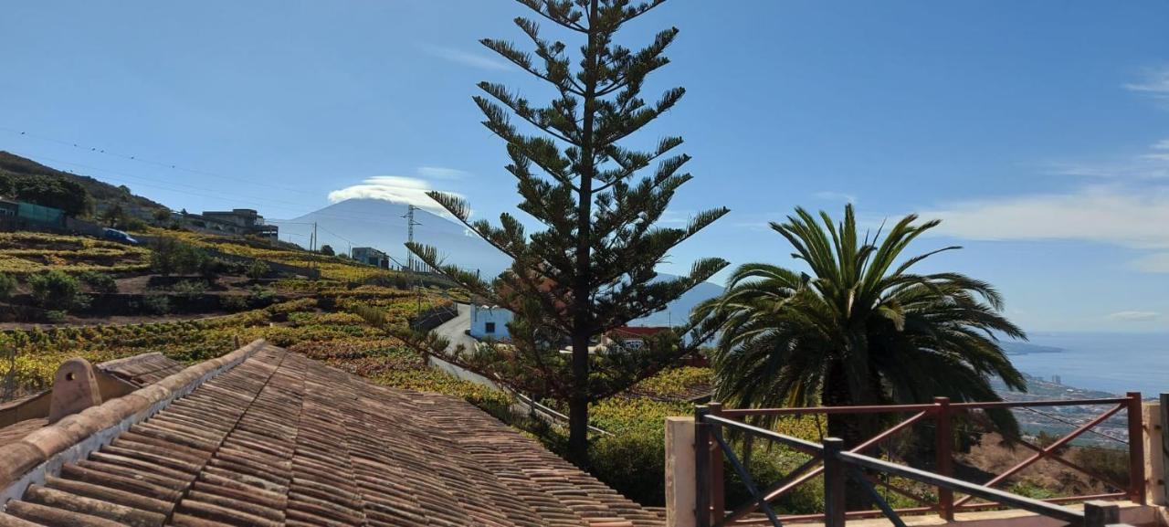 Casa Canarina Santa Úrsula Eksteriør billede